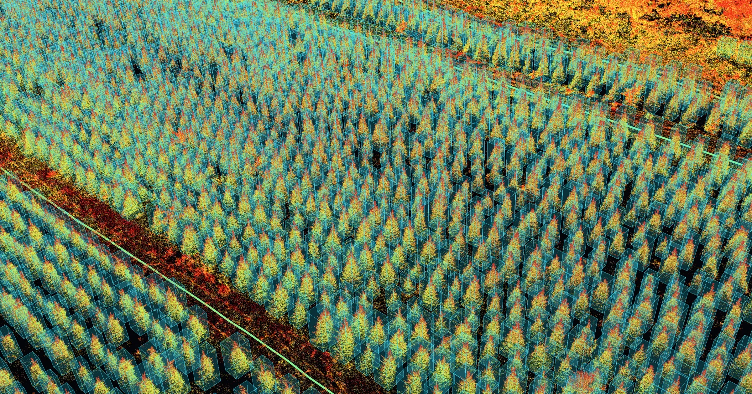 Close view of a colored LiDAR scan of young trees